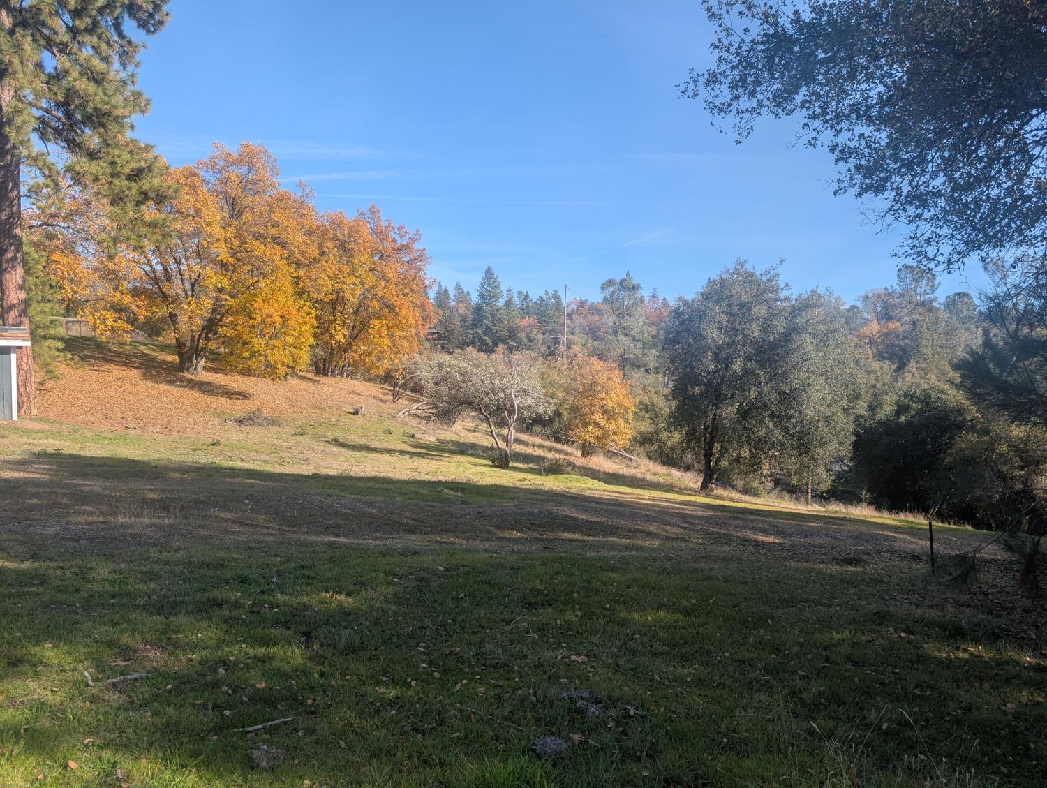 55110 Los Pinos Ln, Wishon, CA 93669