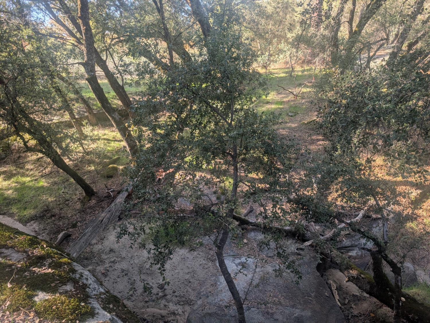 55110 Los Pinos Ln, Wishon, CA 93669