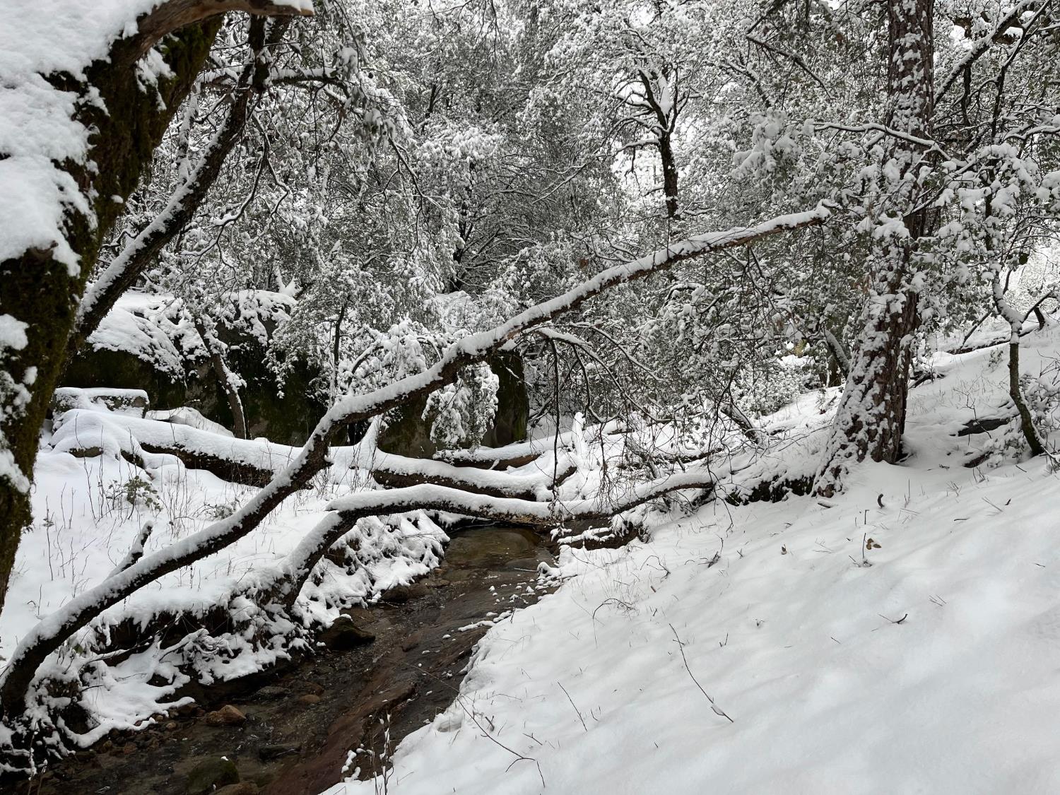 55110 Los Pinos Ln, Wishon, CA 93669