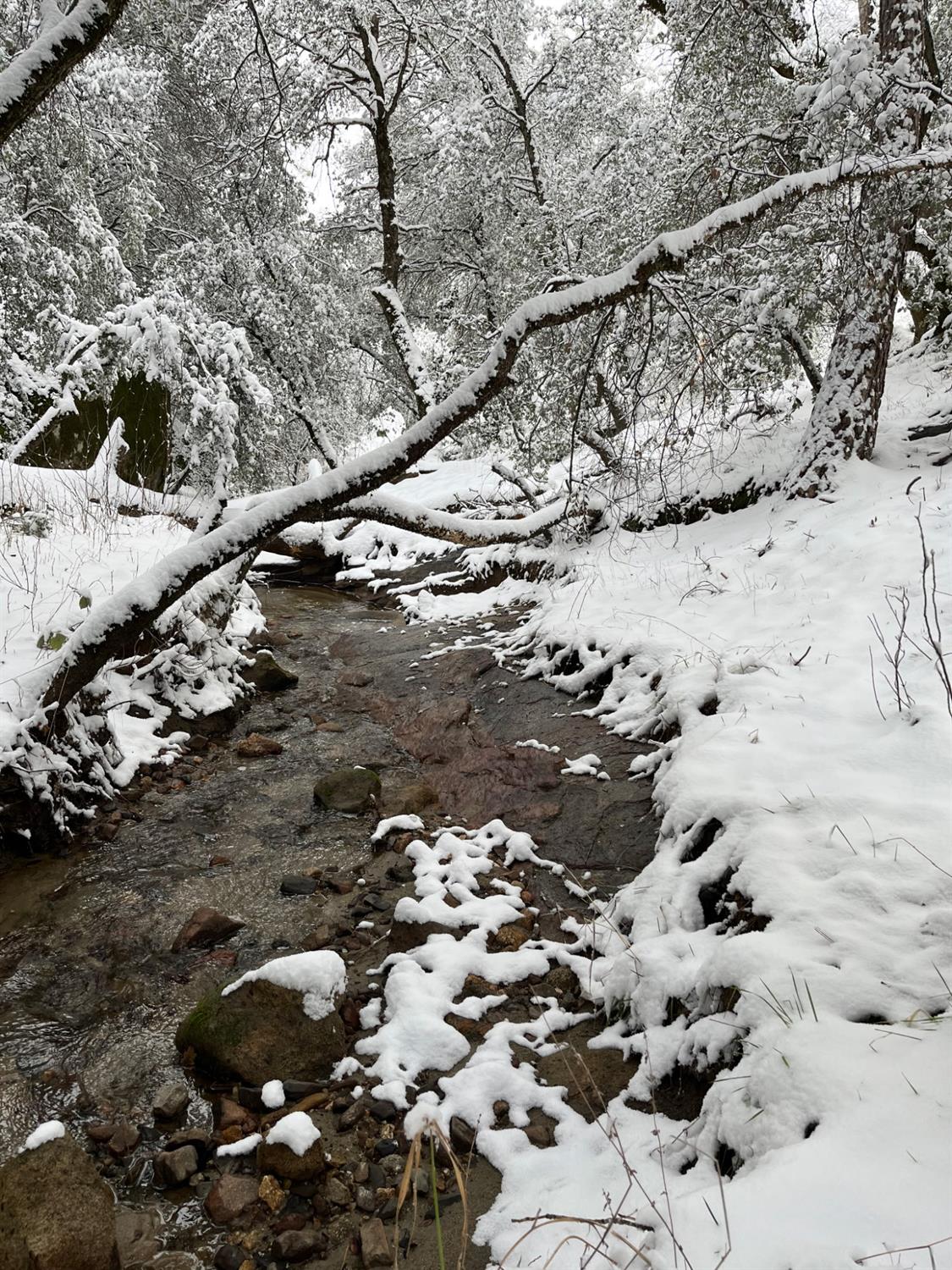 55110 Los Pinos Ln, Wishon, CA 93669