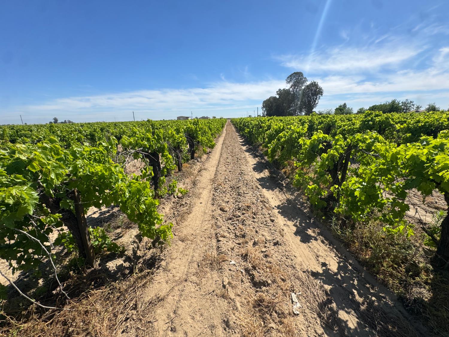 376 E Klepper, Caruthers, CA 93609