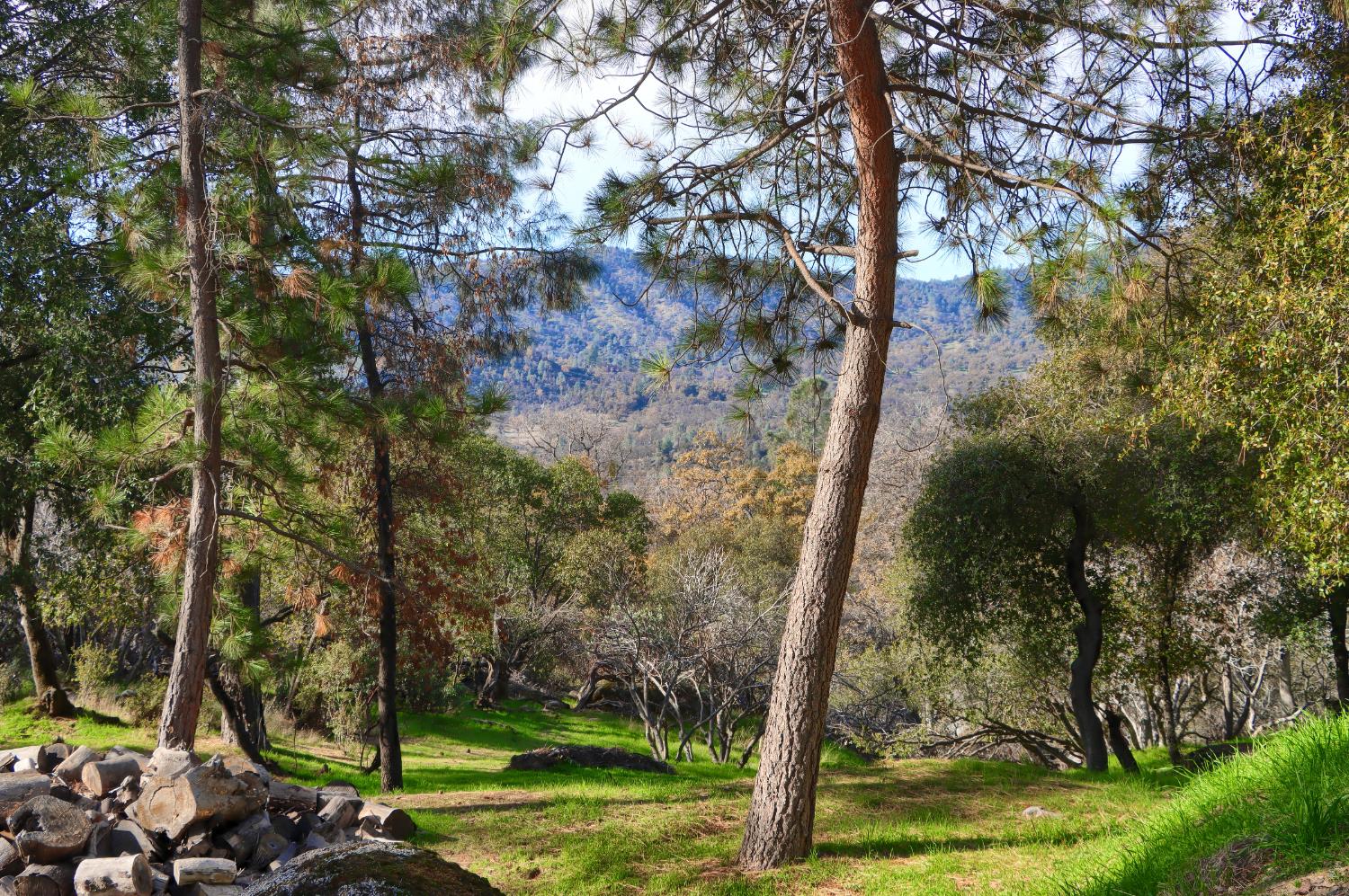 49873 Sunset Dr, Coarsegold, CA 93614