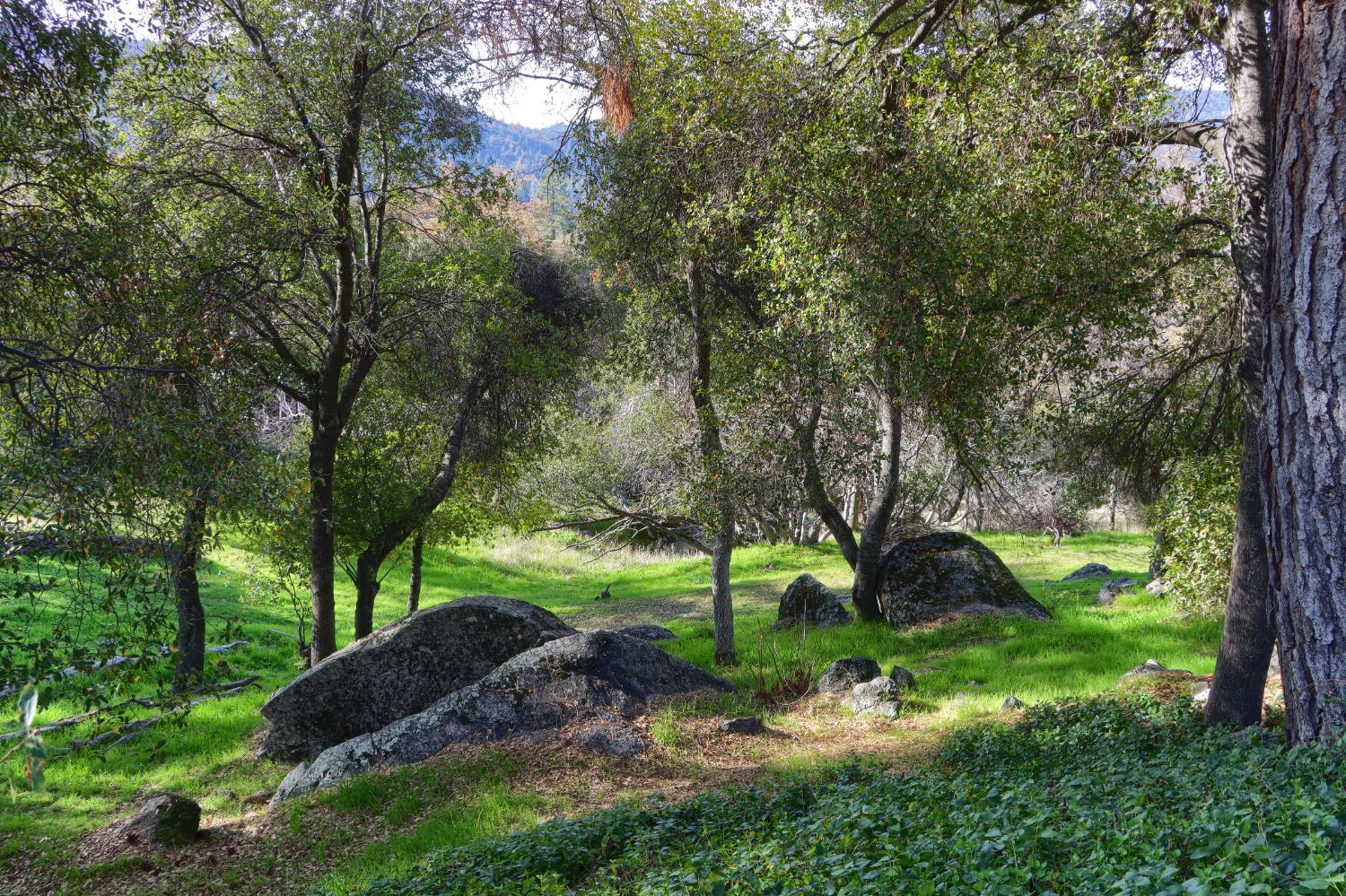 49873 Sunset Dr, Coarsegold, CA 93614