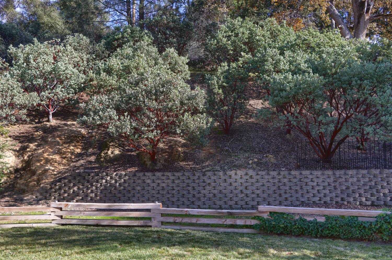 49873 Sunset Dr, Coarsegold, CA 93614