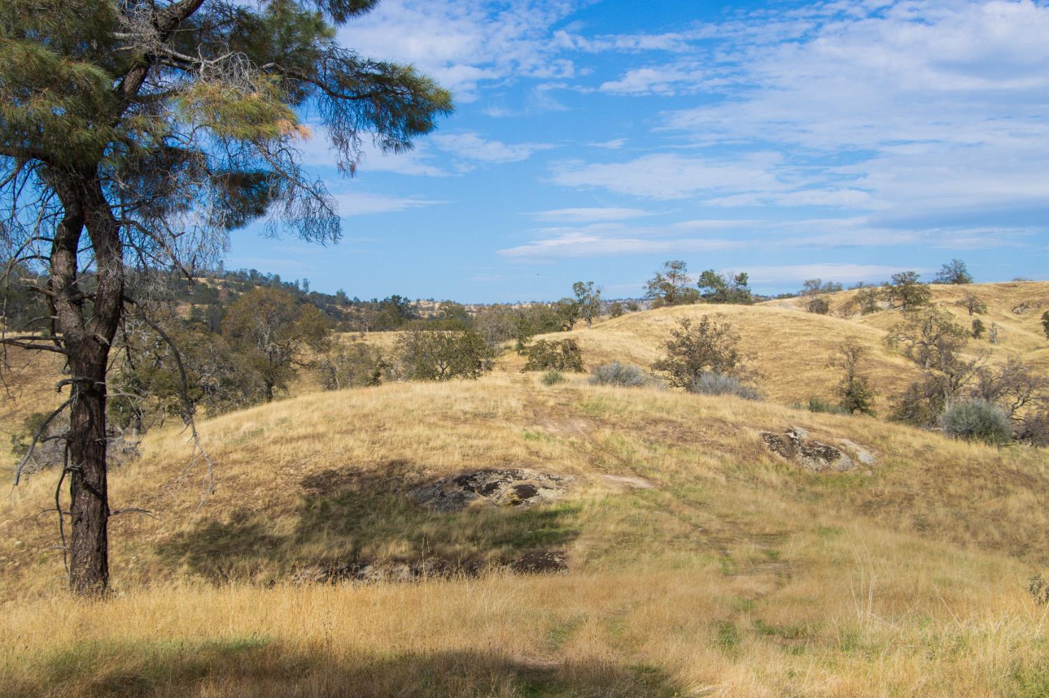 120 AC Millstream, Coarsegold, CA 93614