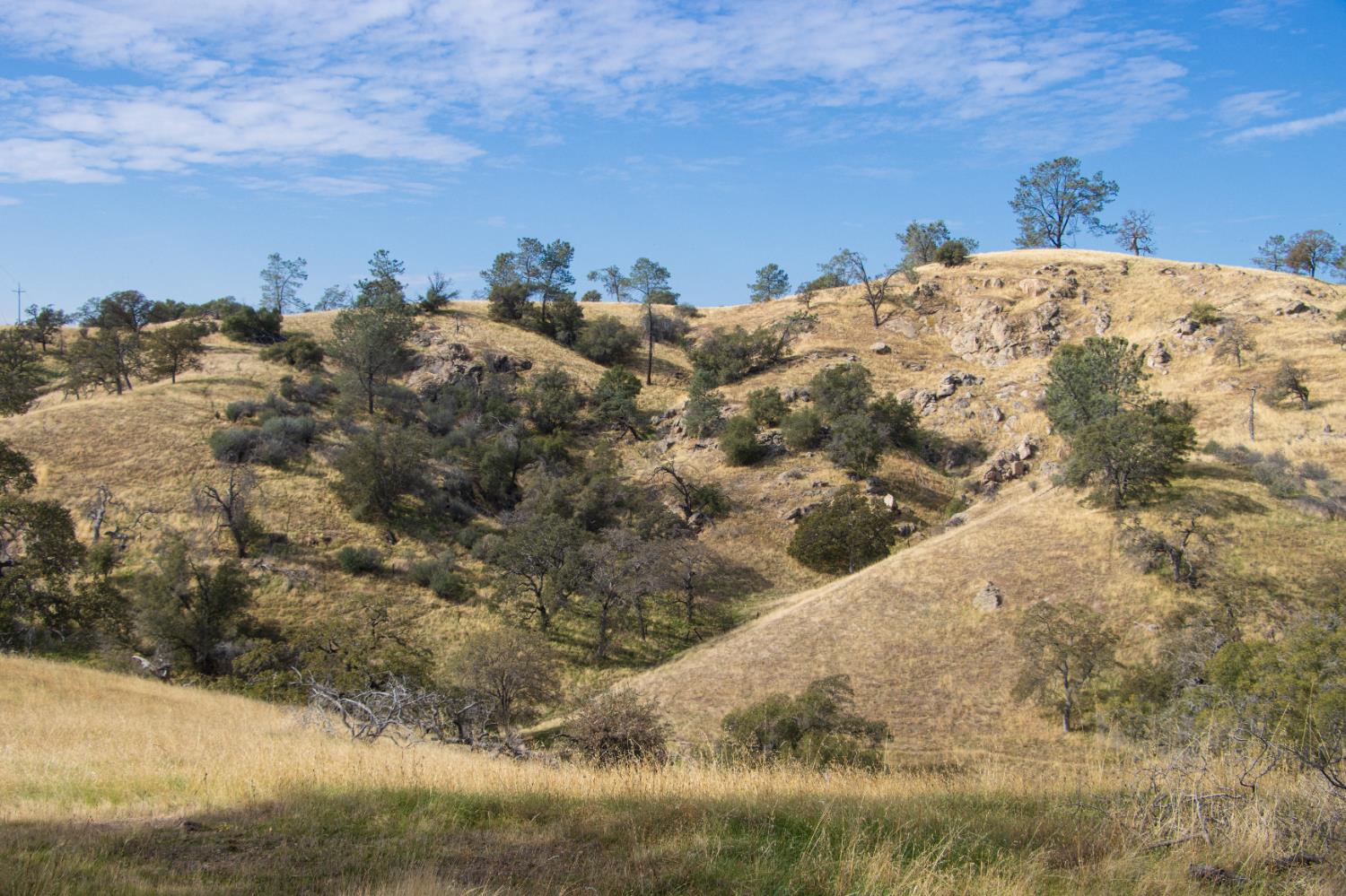 120 AC Millstream, Coarsegold, CA 93614