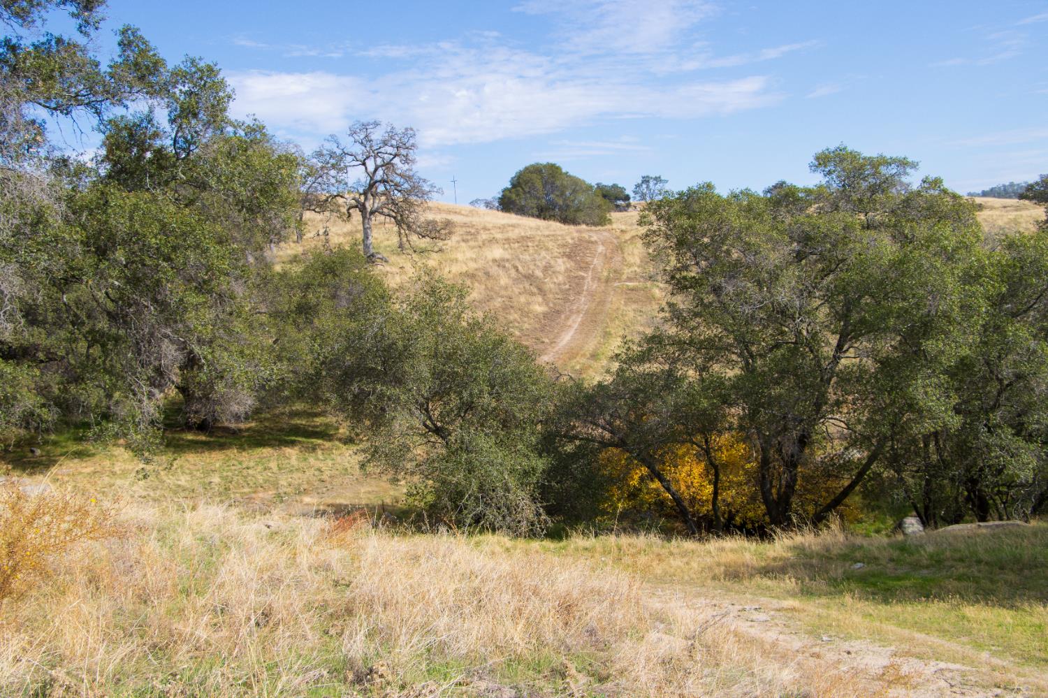 120 AC Millstream, Coarsegold, CA 93614