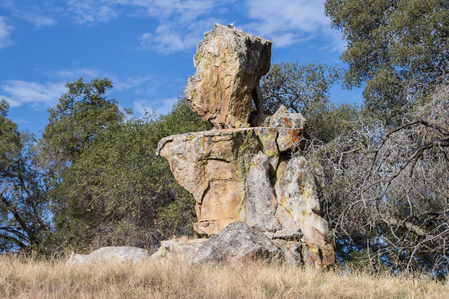 120 AC Millstream, Coarsegold, CA 93614