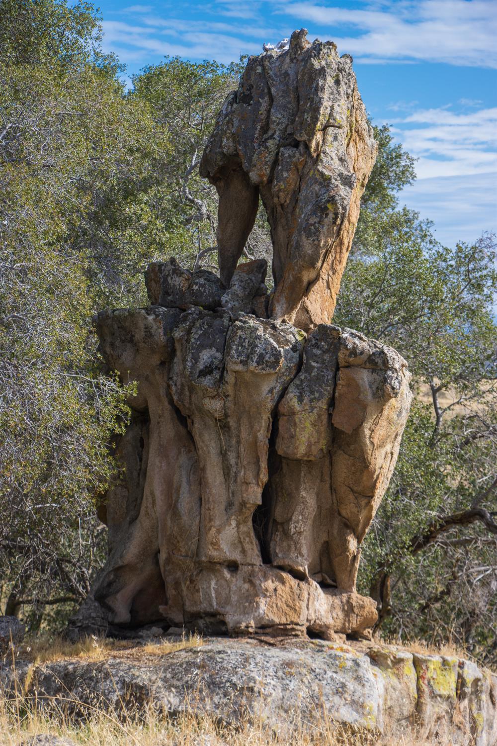 120 AC Millstream, Coarsegold, CA 93614