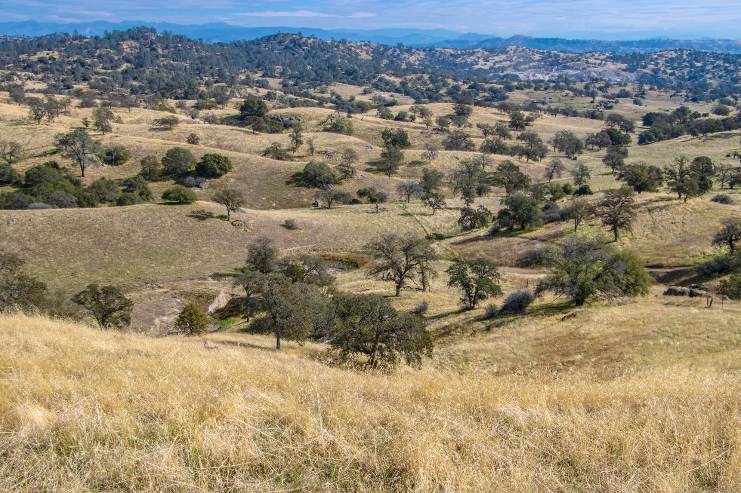 120 AC Millstream, Coarsegold, CA 93614