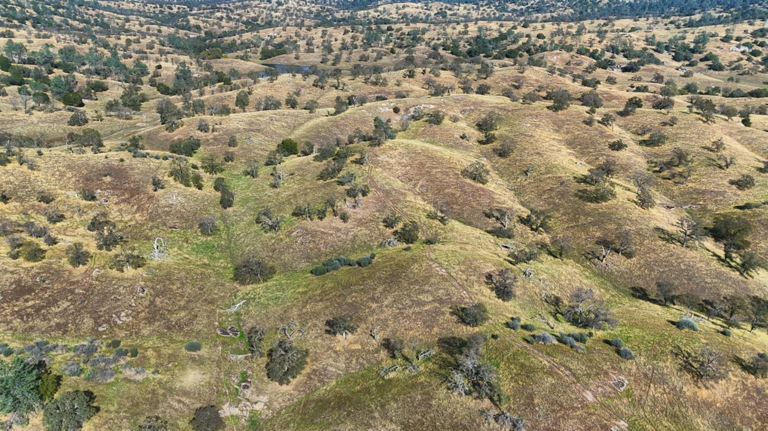 120 AC Millstream, Coarsegold, CA 93614