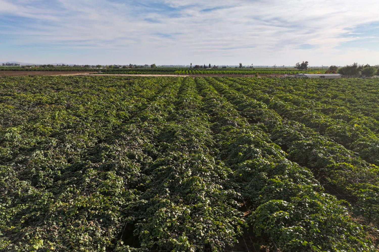 0 0 Avenue 396, Cutler, CA 93615