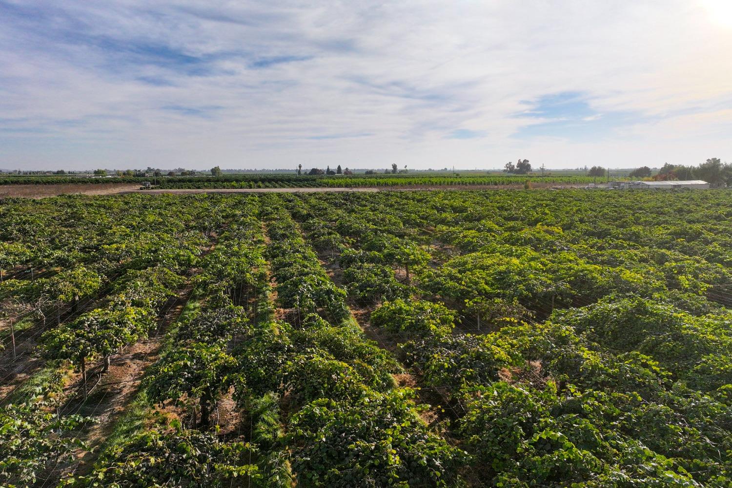 0 0 Avenue 396, Cutler, CA 93615