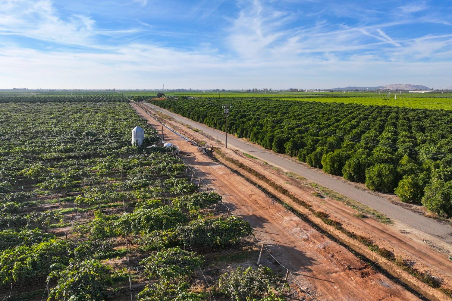 0 0 Avenue 396, Cutler, CA 93615