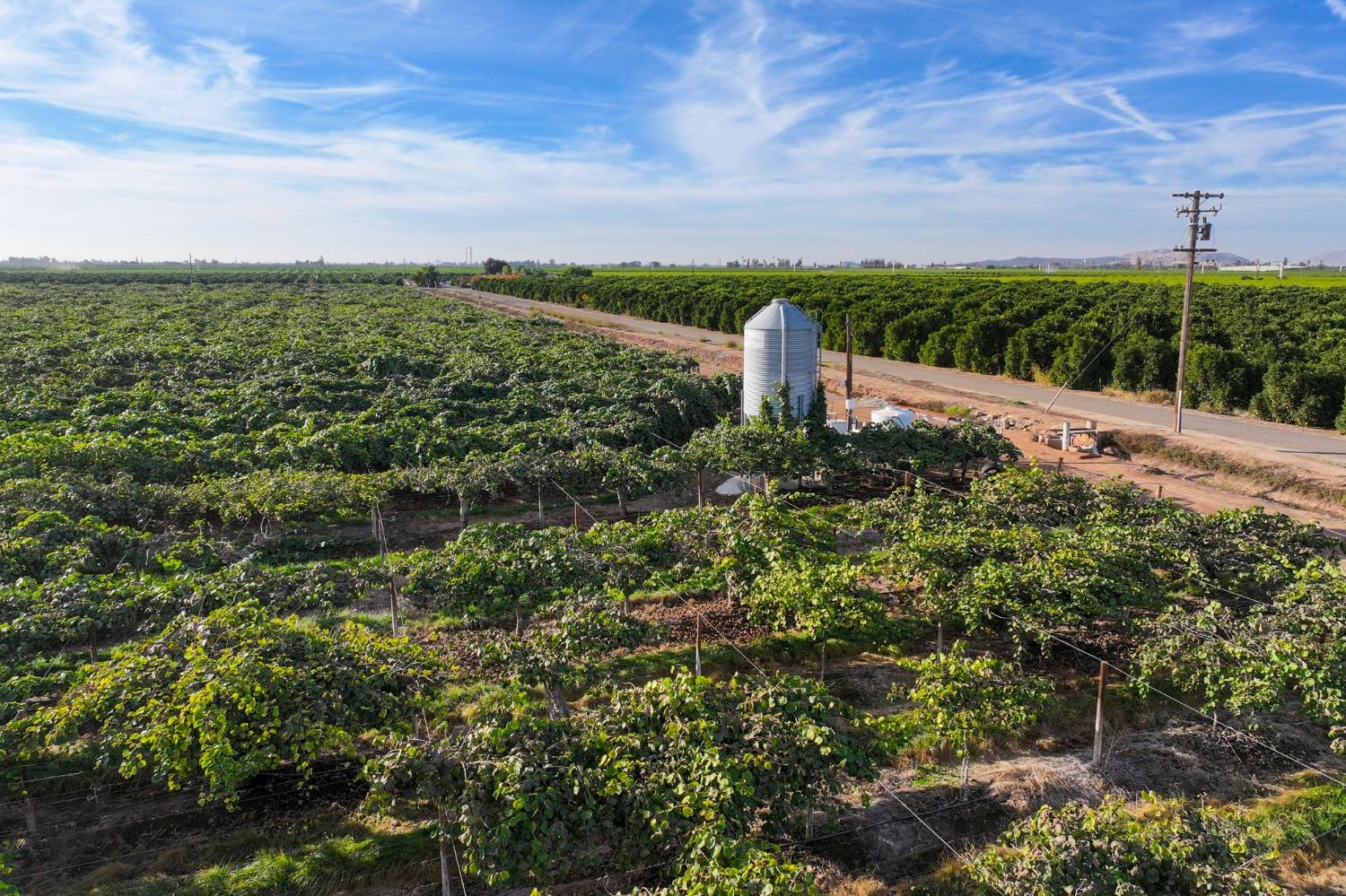 0 0 Avenue 396, Cutler, CA 93615