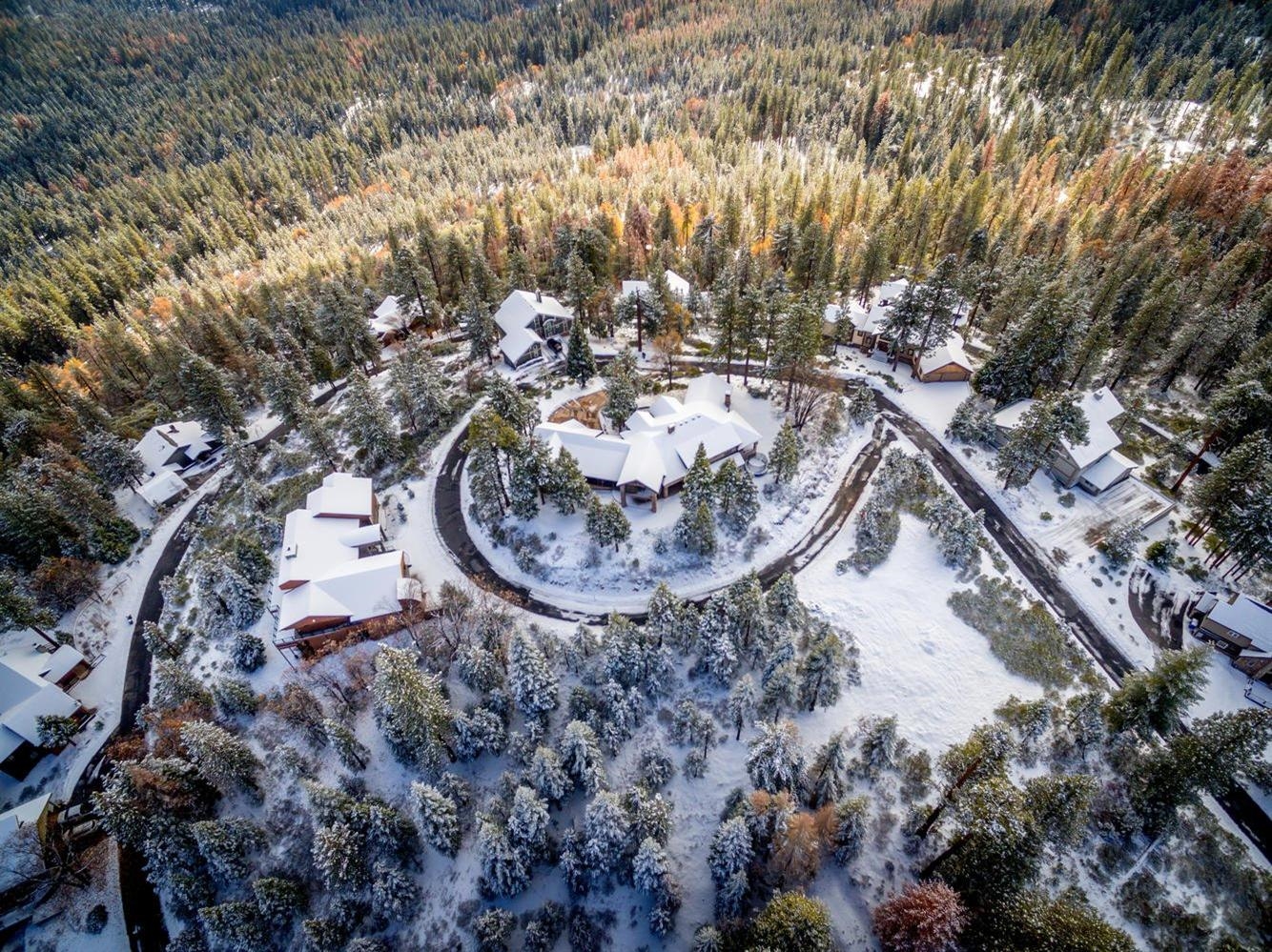 42555 Bretz Point Ln, Shaver Lake, CA 93664