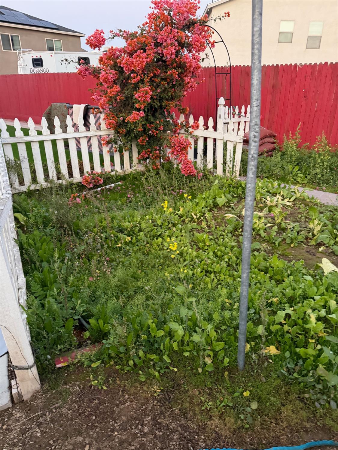 1616 N Delbert Ave, Fresno, CA 93722