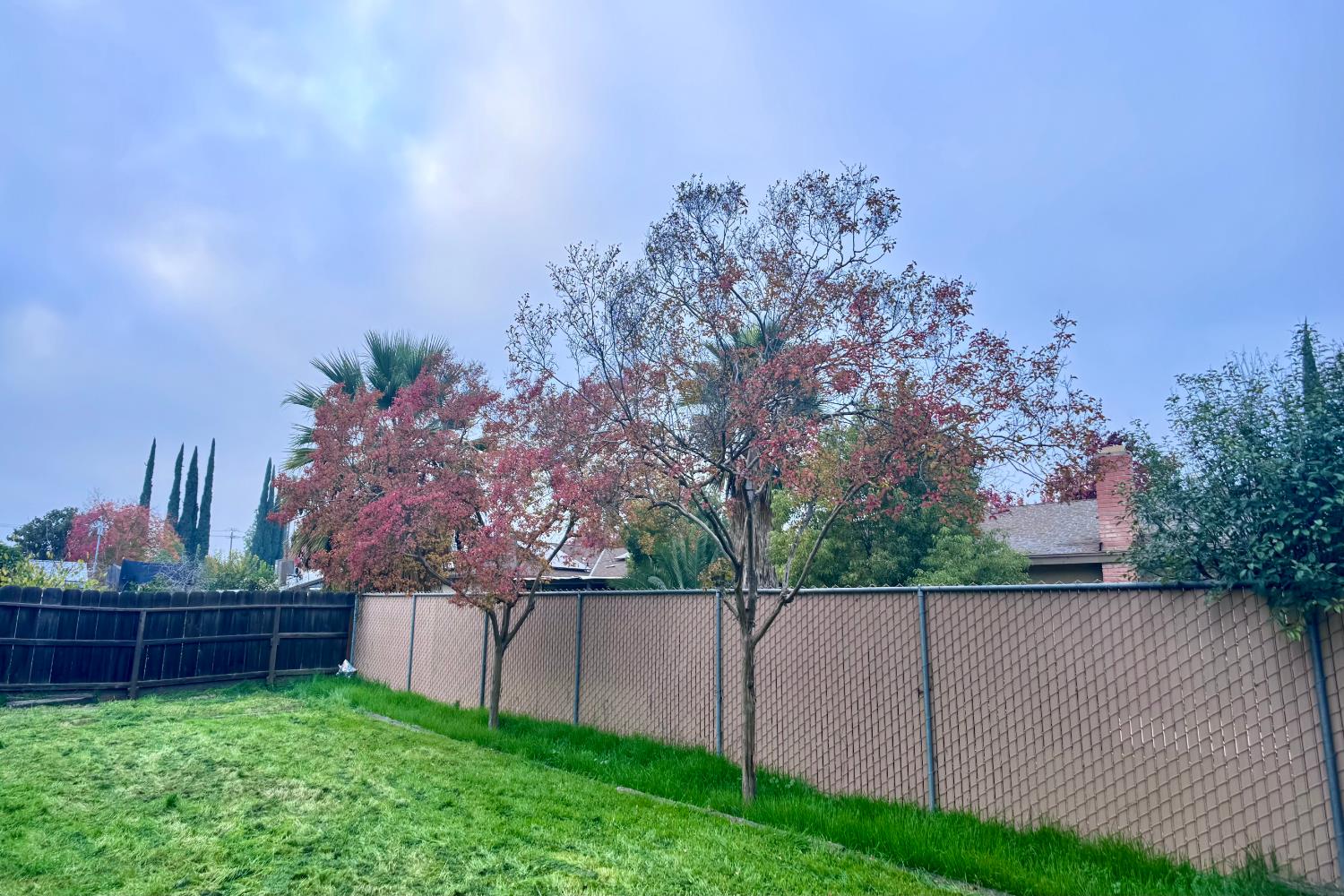 1478 E Magill Ave, Fresno, CA 93710