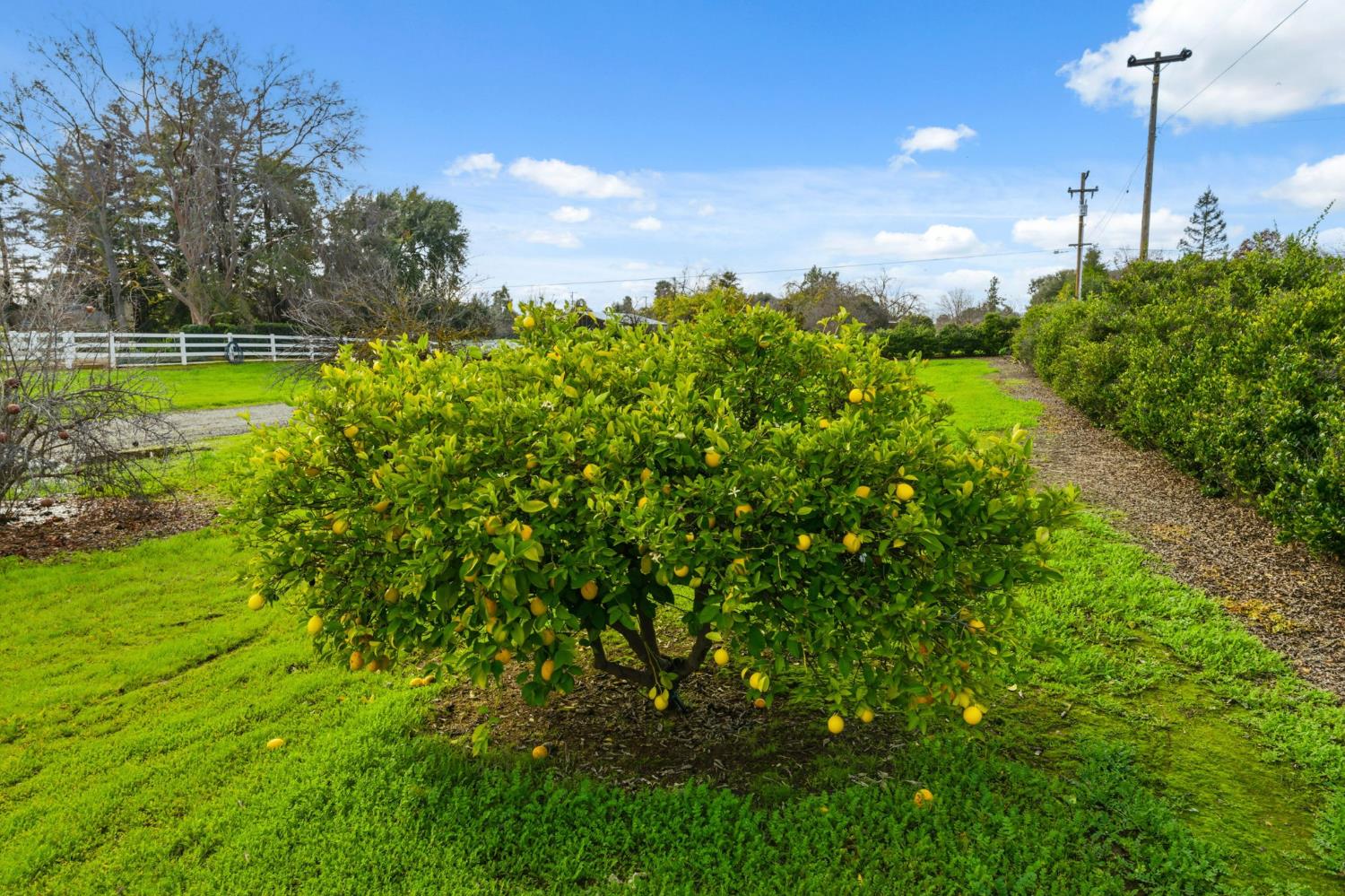 5355 Poinsetta Ave, Clovis, CA 93619