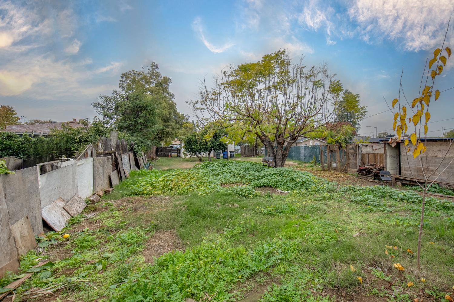 424 Morton Ave, Sanger, CA 93657