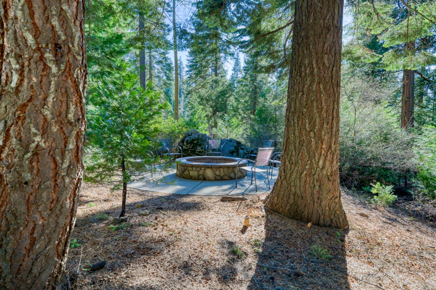 41891 Timber Ridge Rd, Shaver Lake, CA 93664