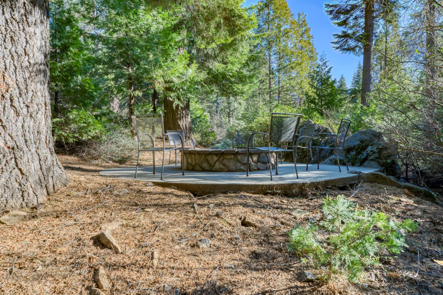 41891 Timber Ridge Rd, Shaver Lake, CA 93664