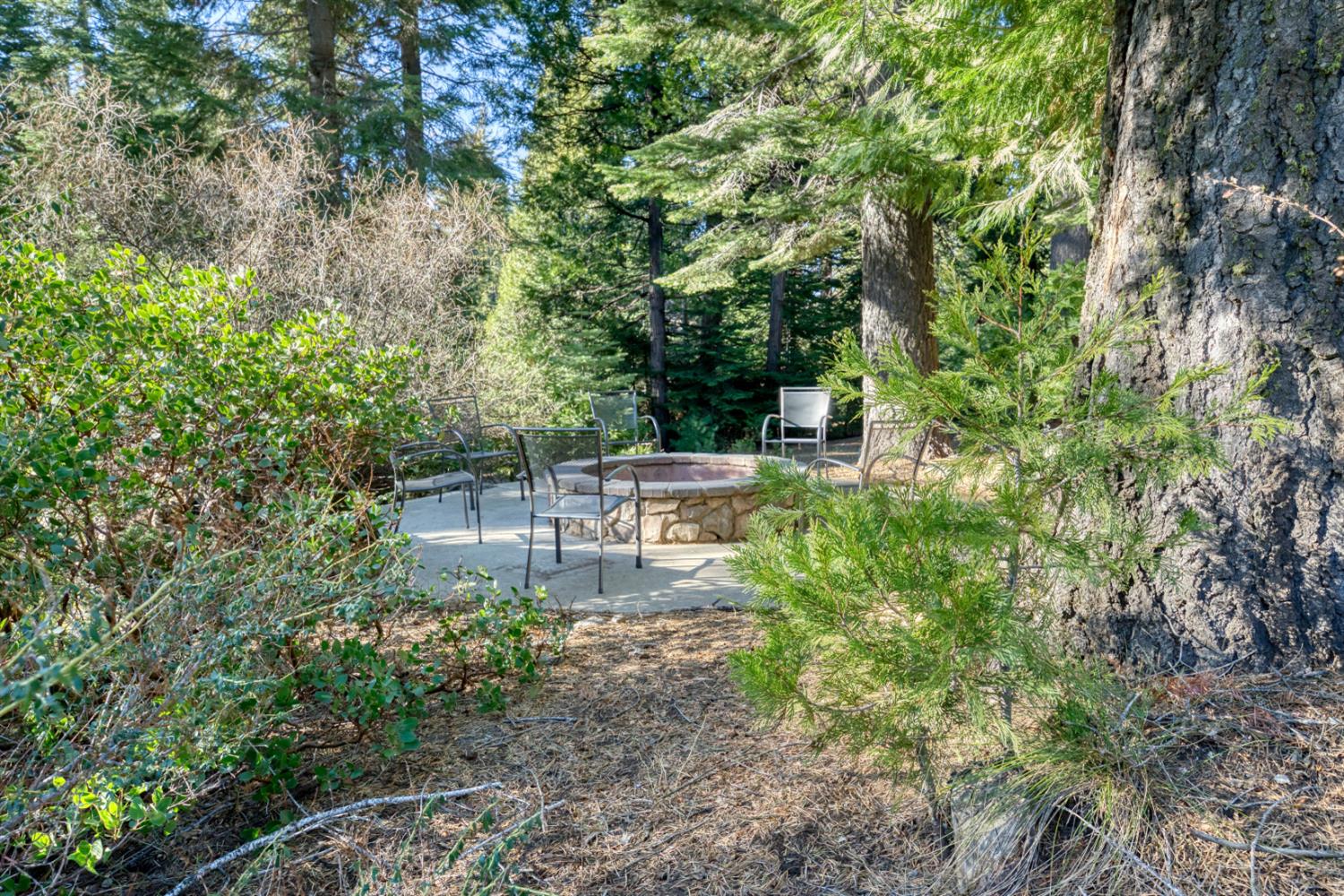 41891 Timber Ridge Rd, Shaver Lake, CA 93664