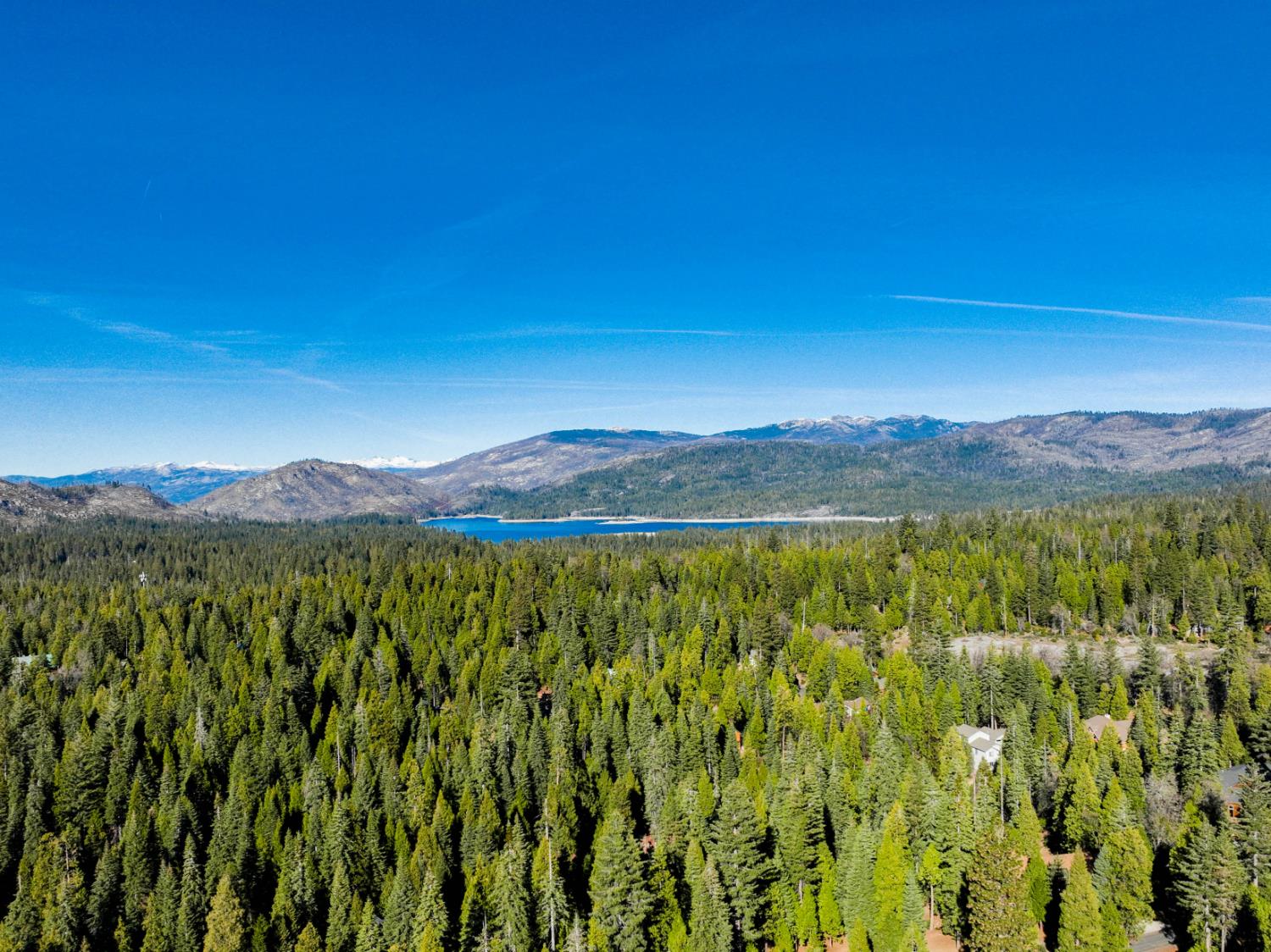 41891 Timber Ridge Rd, Shaver Lake, CA 93664