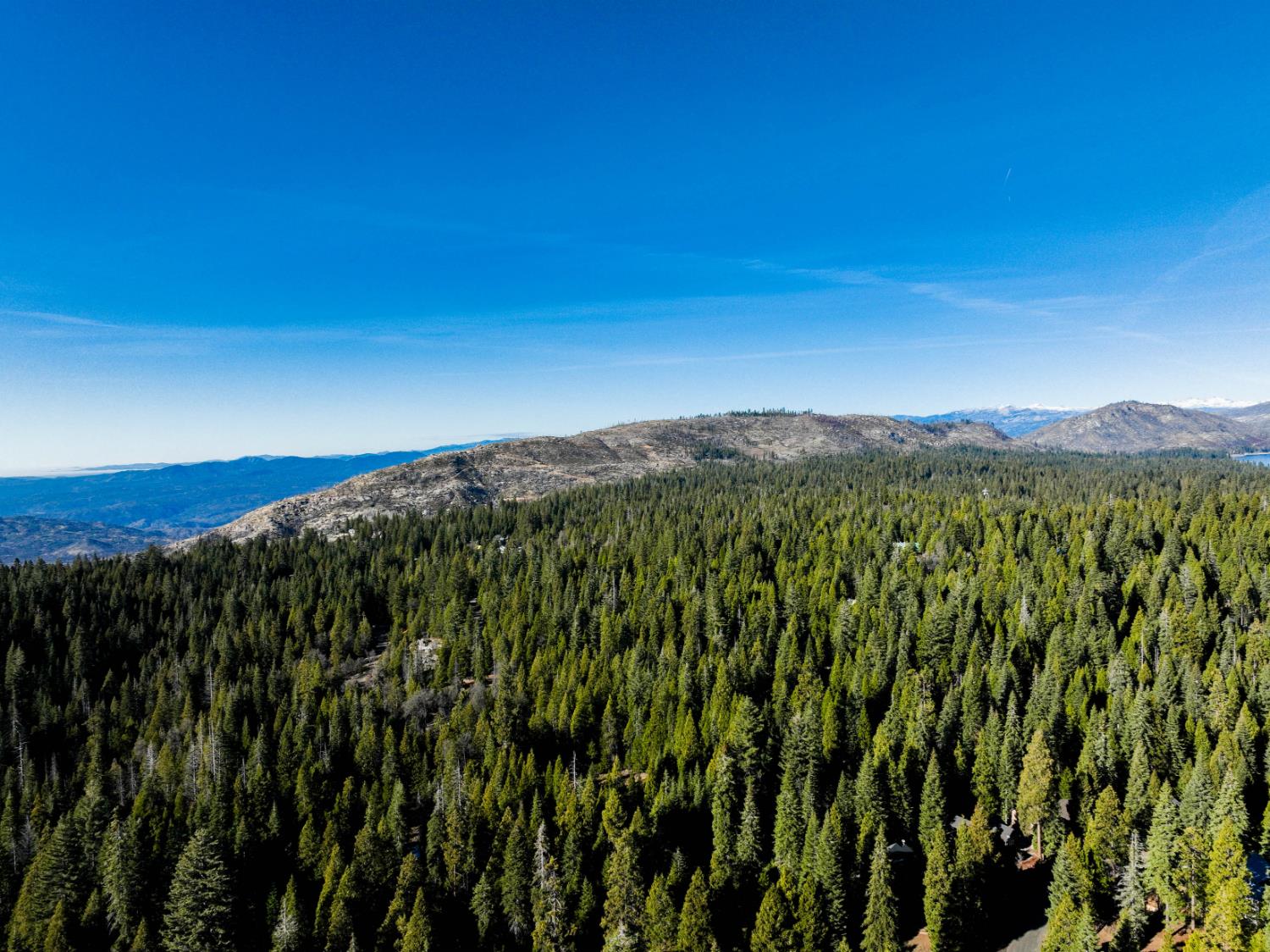 41891 Timber Ridge Rd, Shaver Lake, CA 93664
