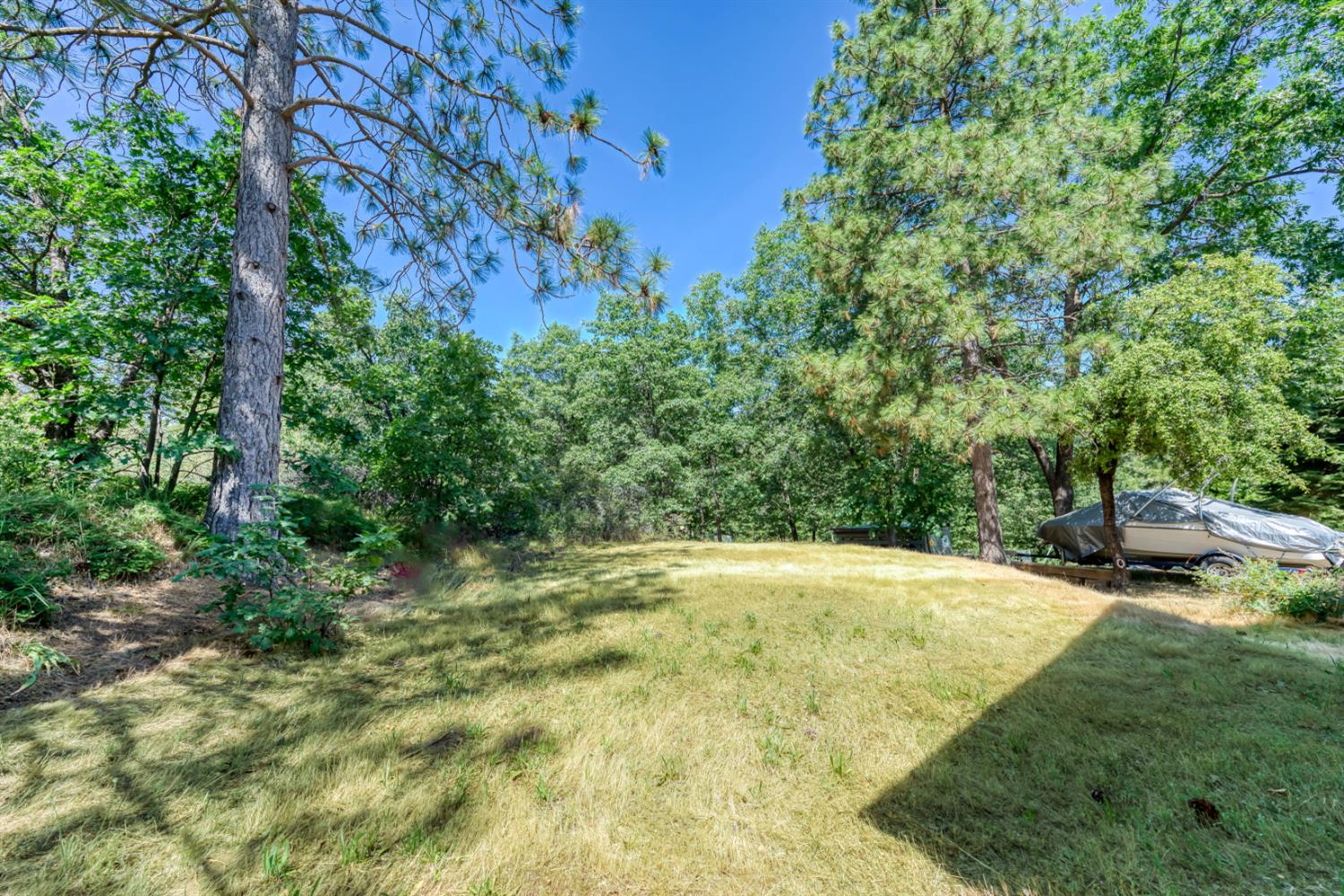 33855 Shaver Springs Rd, Auberry, CA 93602