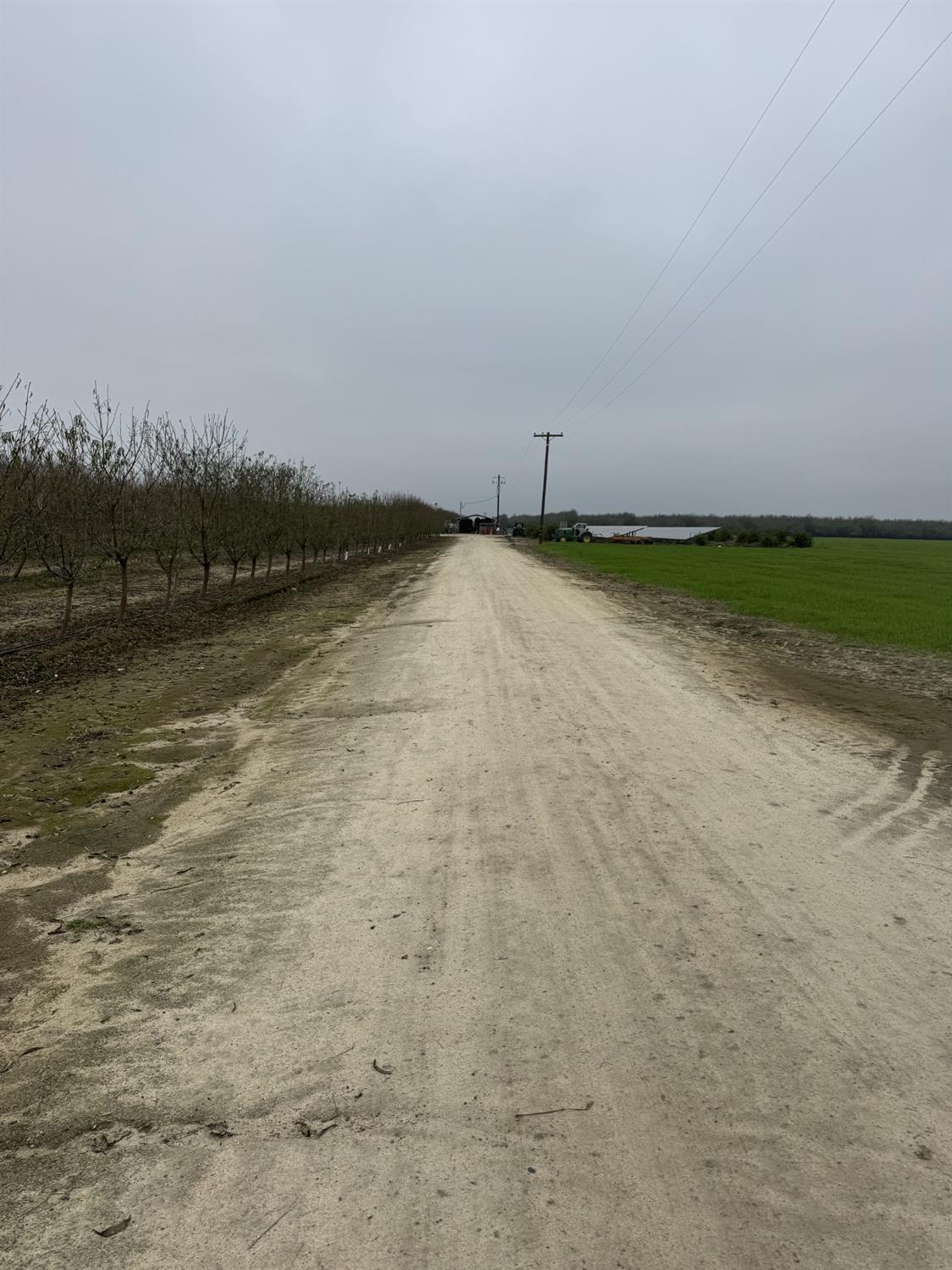 0 0 Avenue 12, Madera, CA 93637