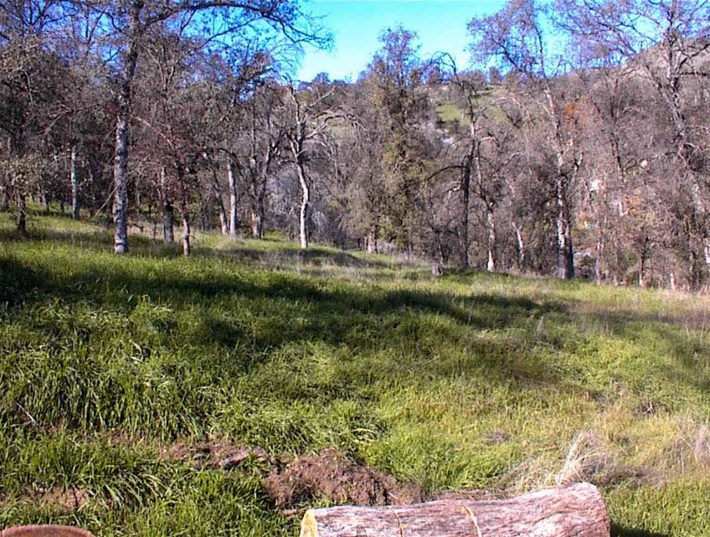 82 Erwin Ln, Yokuts Valley, CA 93675