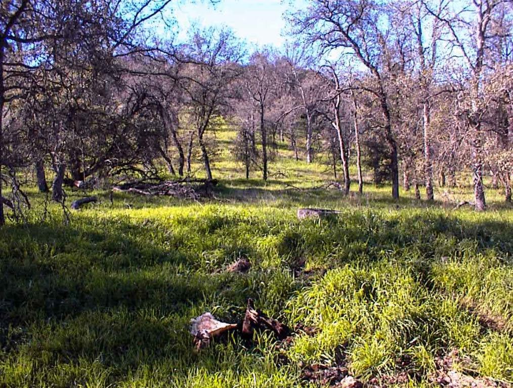 82 Erwin Ln, Yokuts Valley, CA 93675