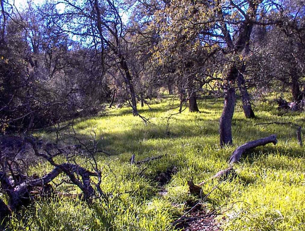 82 Erwin Ln, Yokuts Valley, CA 93675