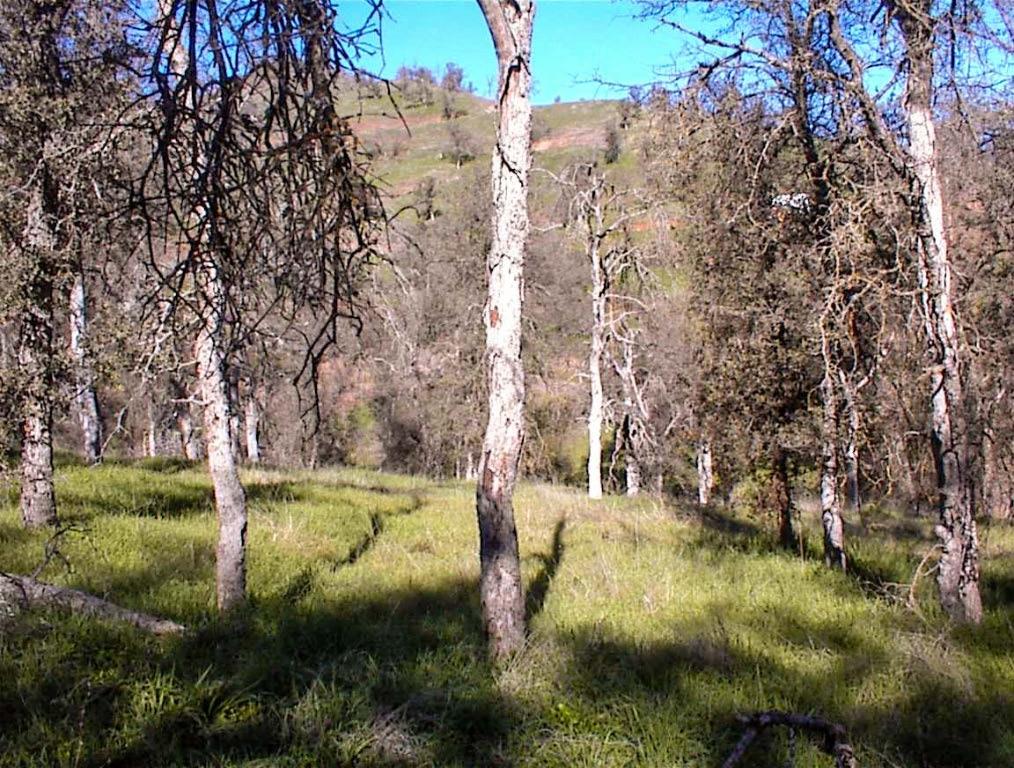 82 Erwin Ln, Yokuts Valley, CA 93675