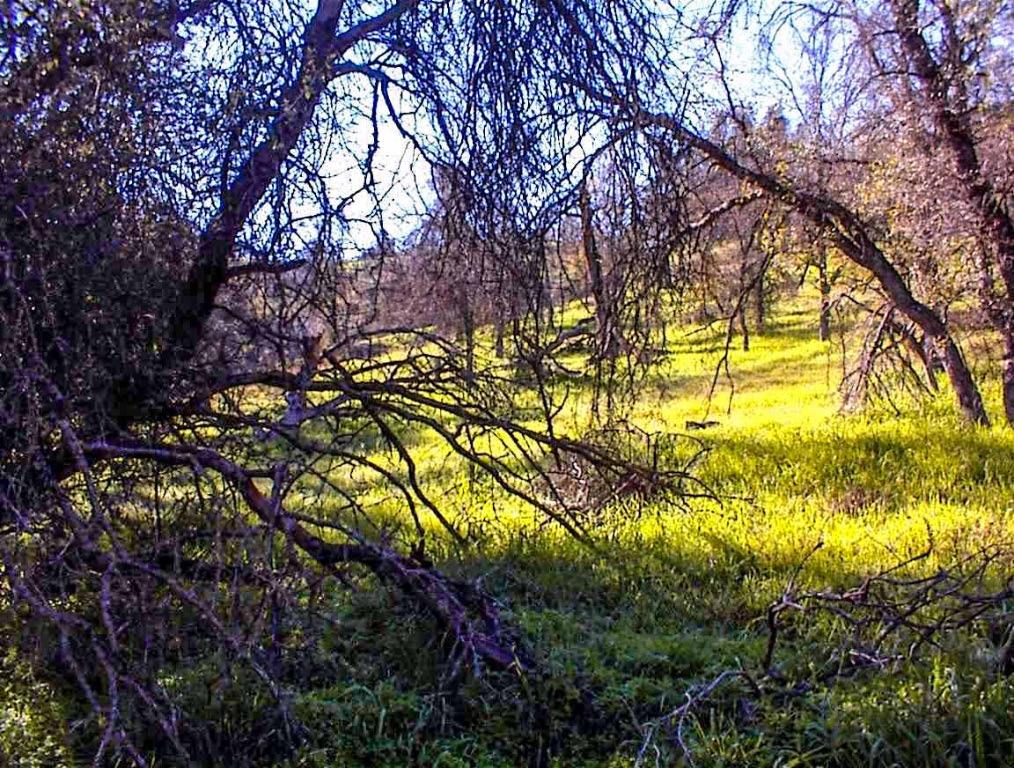 82 Erwin Ln, Yokuts Valley, CA 93675