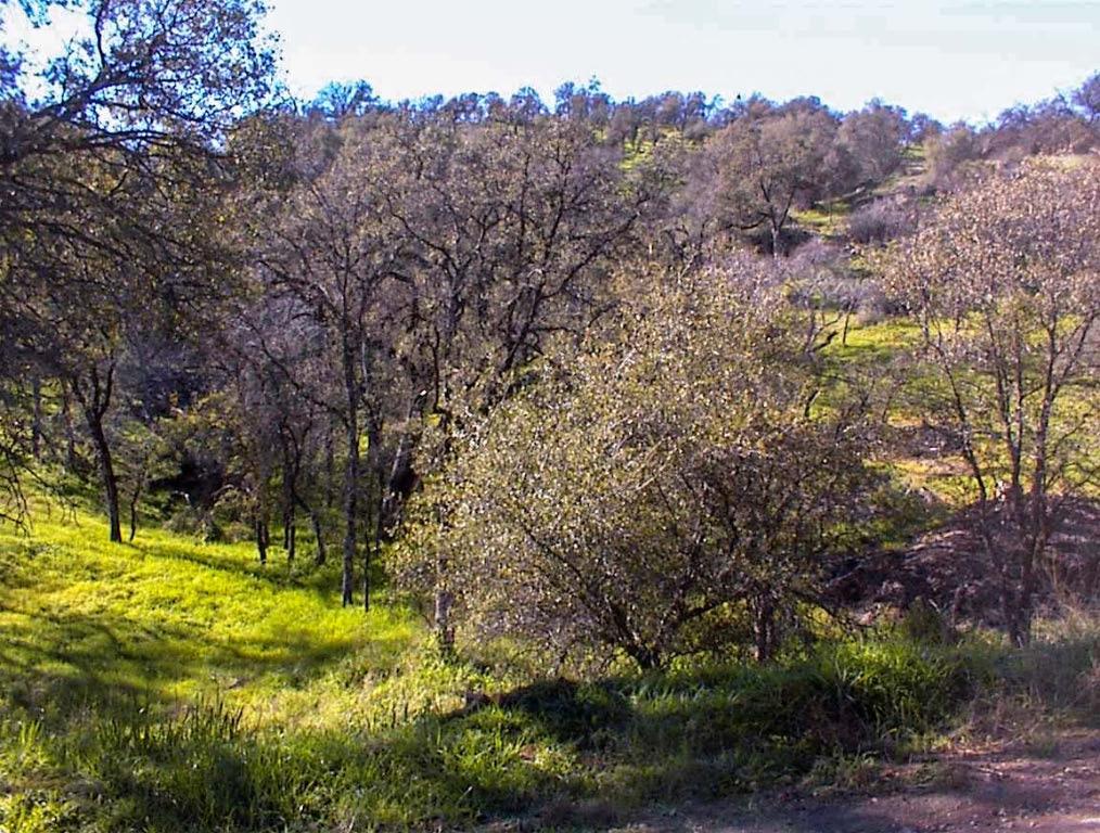 82 Erwin Ln, Yokuts Valley, CA 93675