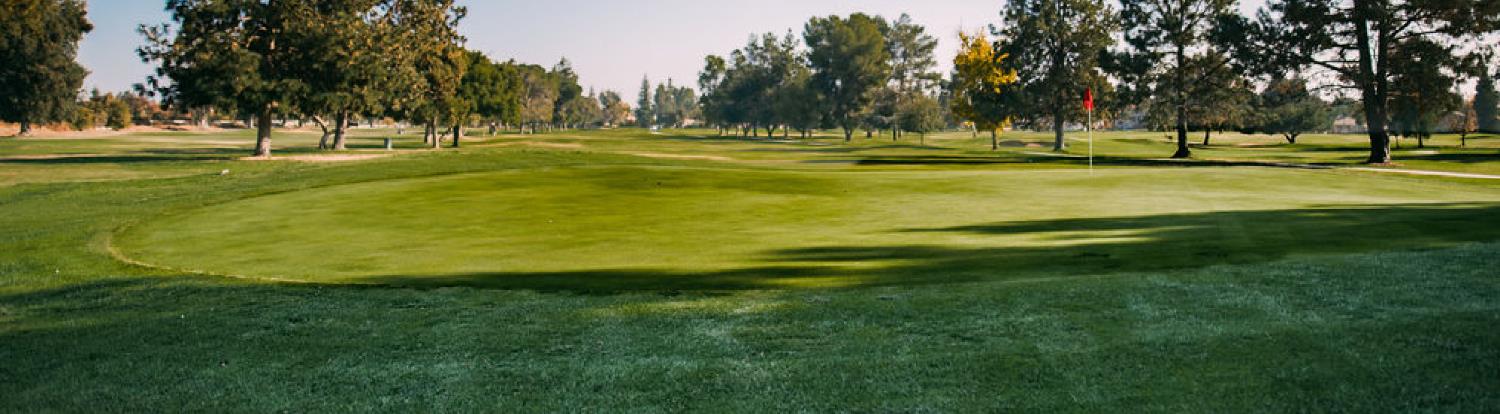 6631 W Fallon Ave, Fresno, CA 93722