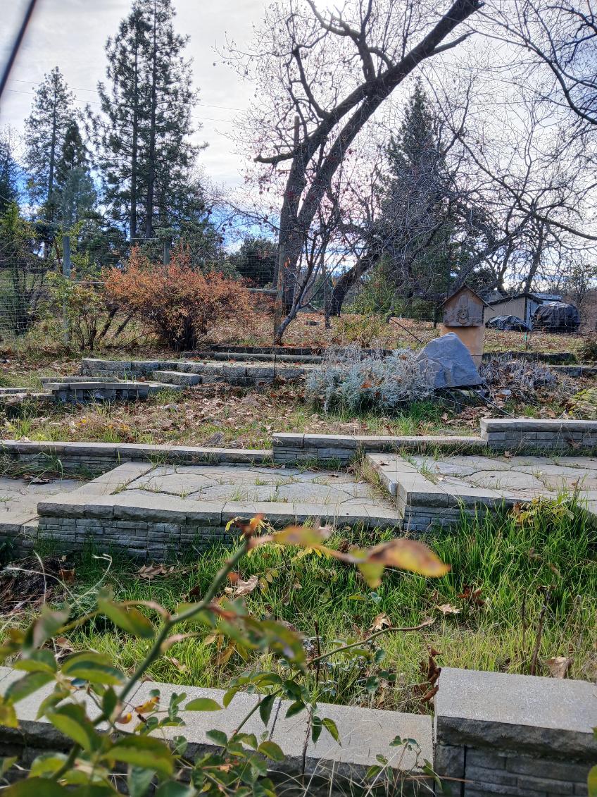 37068 Mudge Ranch Rd, Coarsegold, CA 93614