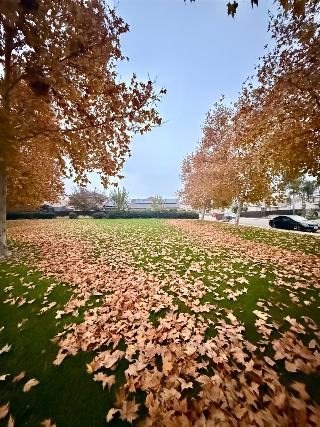 1000 Georgia Ave, Madera, CA 93637