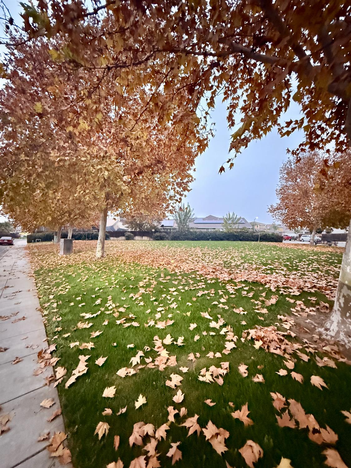 1000 Georgia Ave, Madera, CA 93637