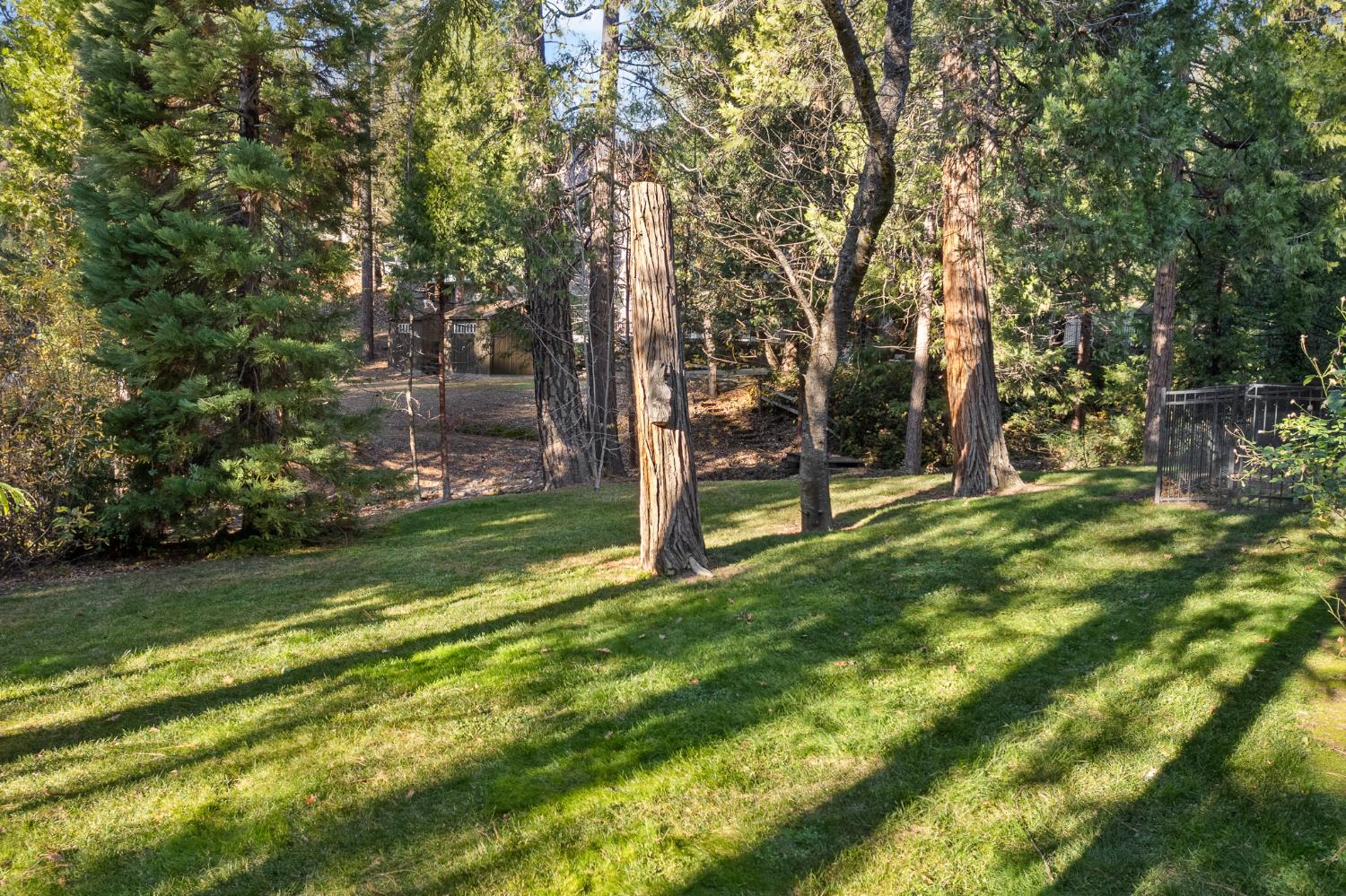 53875 Dogwood Creek Dr, Bass Lake, CA 93604