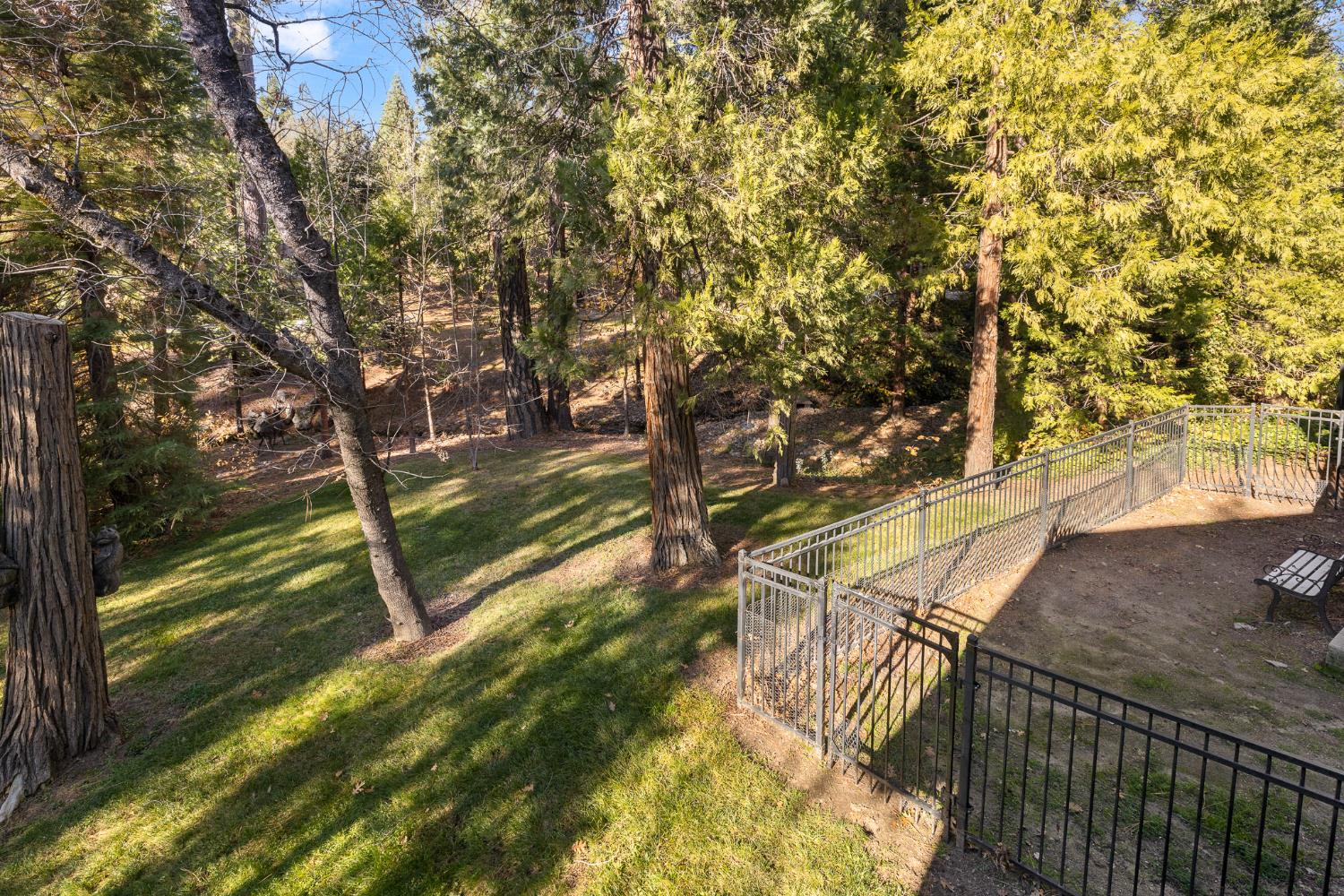 53875 Dogwood Creek Dr, Bass Lake, CA 93604