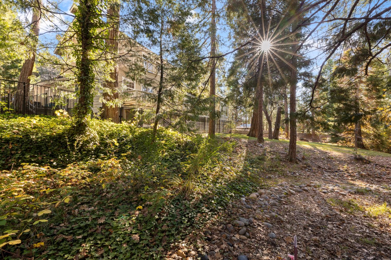 53875 Dogwood Creek Dr, Bass Lake, CA 93604