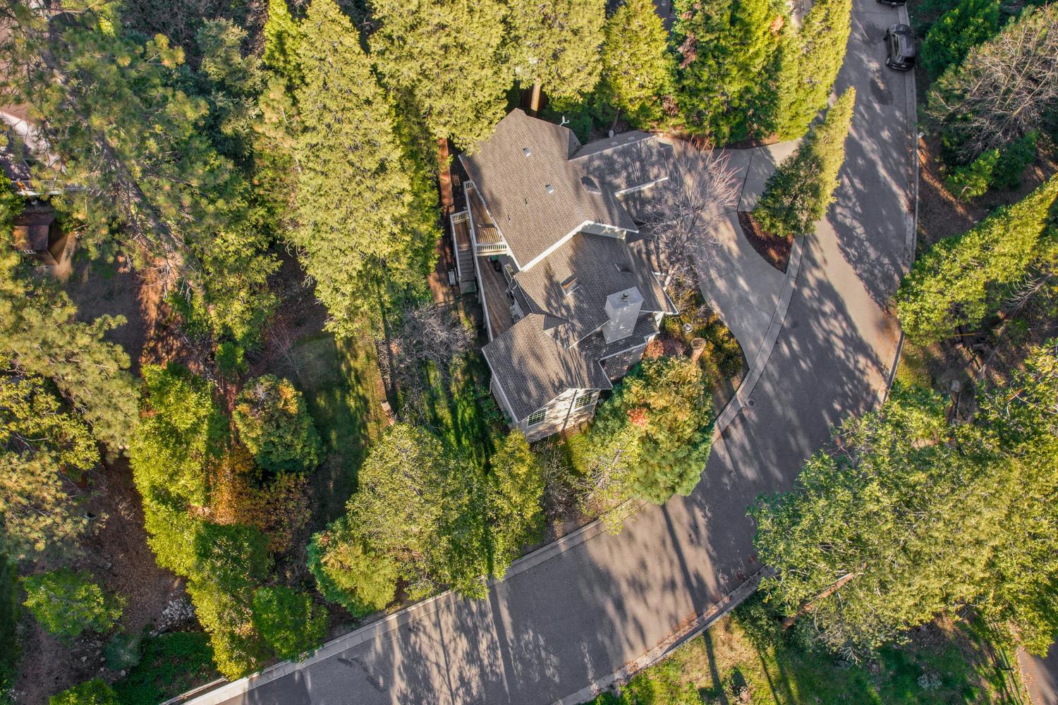53875 Dogwood Creek Dr, Bass Lake, CA 93604