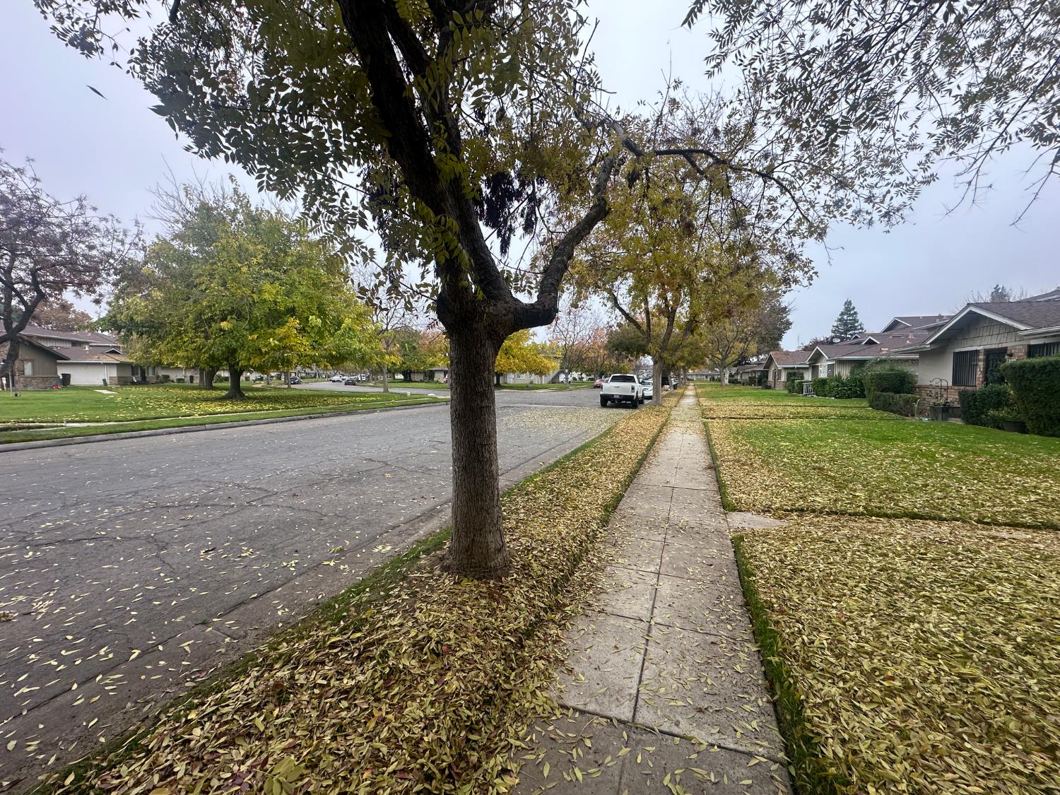 4912 N Holt Ave #204, Fresno, CA 93705