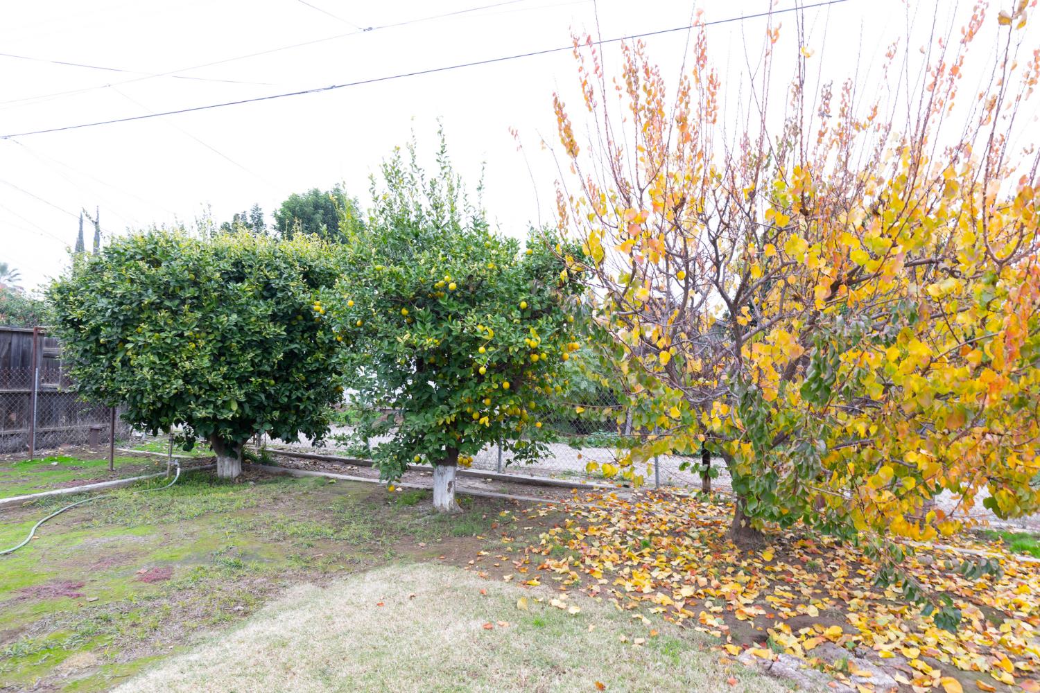 1044 S Hope Ave, Reedley, CA 93654