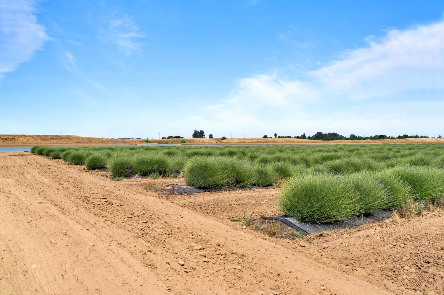 505 N Indianola Ave, Sanger, CA 93657