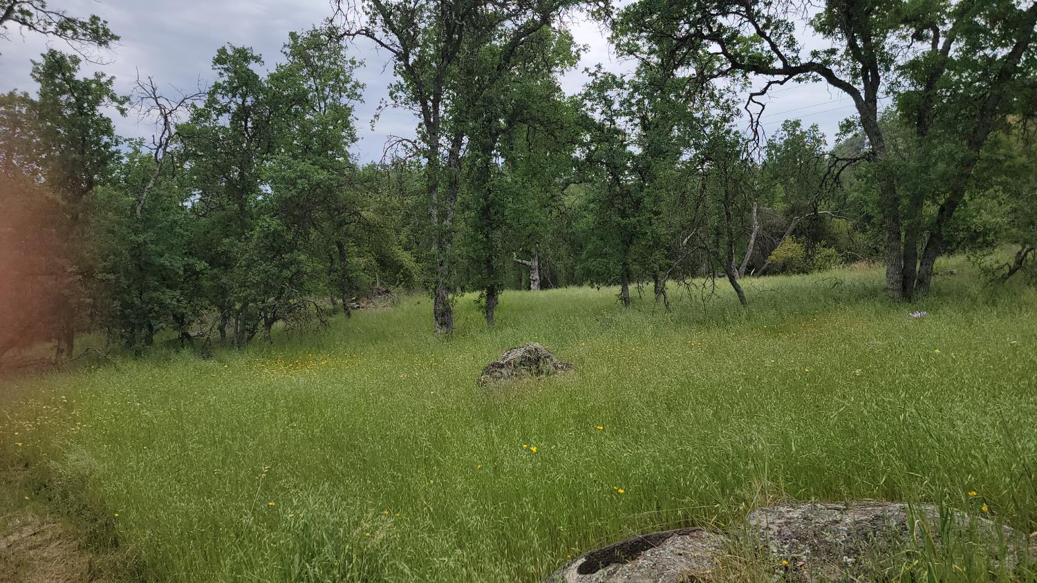 0 Lot 3 Sage Lane, Yokuts Valley, CA 93675