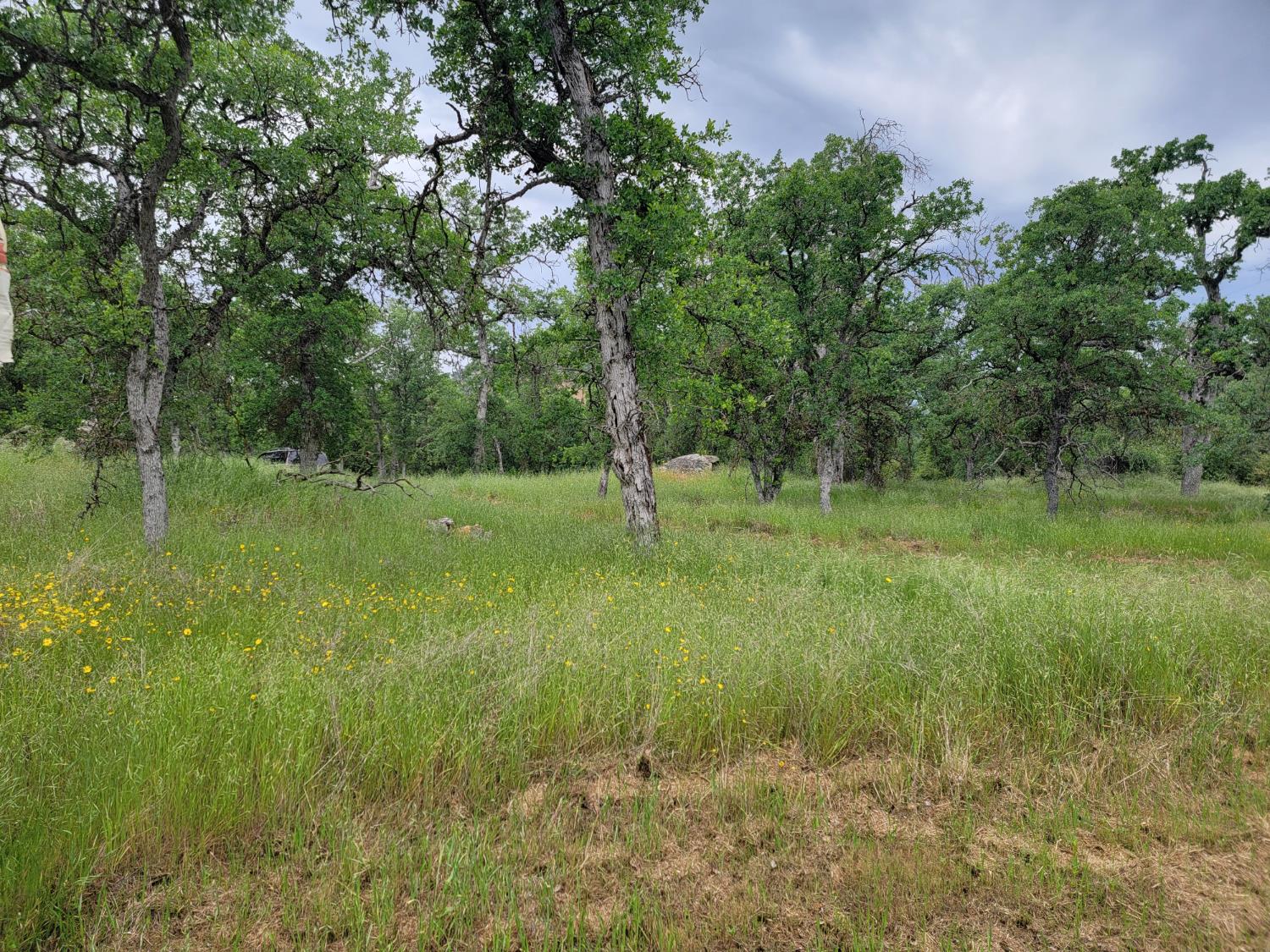 0 Lot 3 Sage Lane, Yokuts Valley, CA 93675